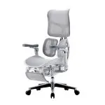 HAU 1B - Gray_2.webp