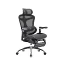 SHA3B | Executive Ergonomic Chair