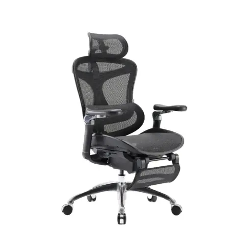 SHA3B | Executive Ergonomic Chair